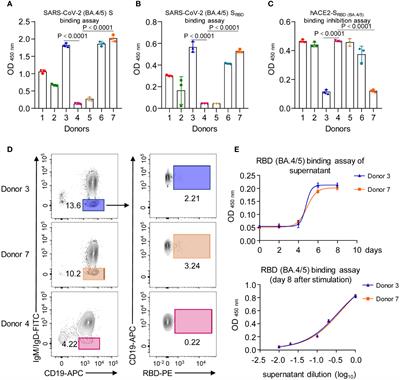 Rapid isolation of pan-neutralizing antibodies against Omicron variants from convalescent individuals infected with SARS-CoV-2